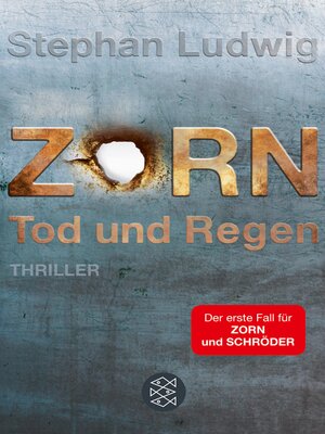cover image of Zorn – Tod und Regen